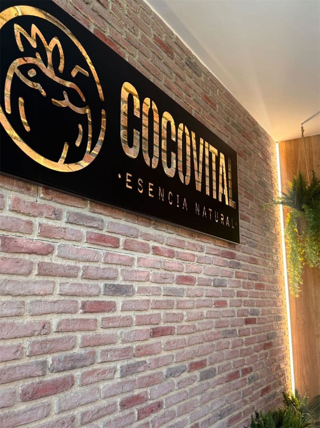 Comedor de Coco Vital en Pontevedra